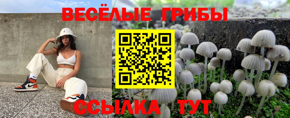 Галлюциногенные грибы GOLDEN TEACHER Петропавловск-Камчатский